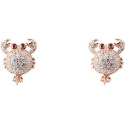 Brincos JLA-EAR-CRAB2 - LANCASTER
