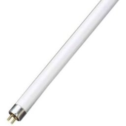 Lampada Fluorescente T5 6W 6000K (210x16mm)