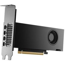 Placa Gráfica Quadro RTX 2000 ADA 16GB GDDR6 - PNY