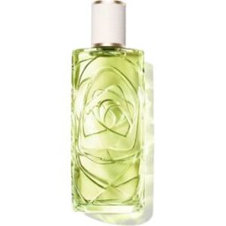 Lancôme Ôff Now eau de toilette vaporizador 100 ml