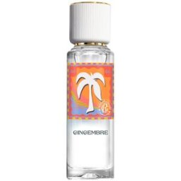Roger & Gallet Les Aventures Gingembre agua perfumada bienestar 30 ml