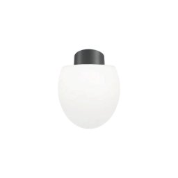 Ideal Lux - Luminária de teto para exterior CLIO 1xE27/42W/230V IP44 antracite