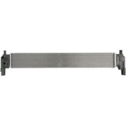 Radiador, arrefecimento do motor THERMOTEC D7T001TT