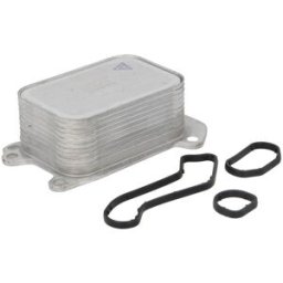 Radiador de óleo, óleo do motor THERMOTEC D4C018TT