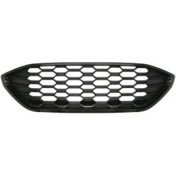 Grelha de radiador BLIC 6502-07-2595991P