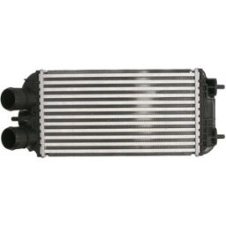Radiador do ar de sobrealimentação THERMOTEC DAF012TT