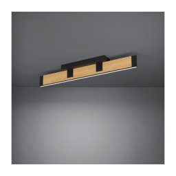 Eglo 390224 - Iluminação de teto LED com regulação CAMINARRO LED/27W/230V 3000K