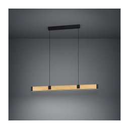 Eglo 390225 - Candeeiro suspenso LED com regulação CAMINARRO LED/28,8W/230V 3000K