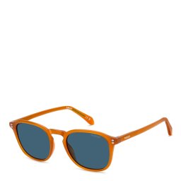 Polaroid Óculos de sol para homens Óculos de sol PLD 4203/S/X