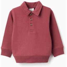ZIPPY Sweat de algodão com gola polo para bebé menino, castanho Castanho 18-24 Months
