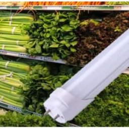 GSC Evolution 2005113 - Lâmpada LED T8 120cm 18W 1440Lm green para vegetais - unilateral
