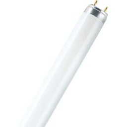 Osram 446189 - Lâmpada fluorescente linear T8 44cm 15W/865 6500K (branco frio)
