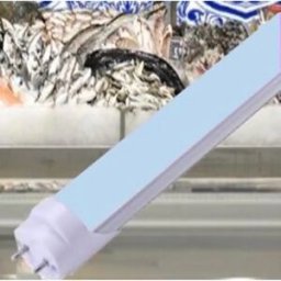Lâmpada LED T8 120cm 18W 1700lm cool white para peixaria/lacticineos - bilateral