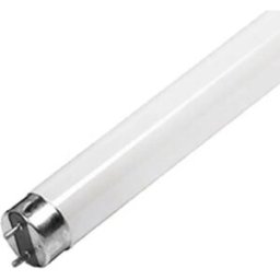 Philips - Lâmpada fluorescente linear T8 150cm 58W/865 6500K
