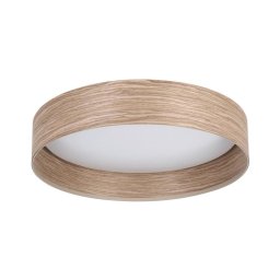 Eglo 900463 - Iluminação de teto LED LUPPINERIA LED/24W/230V