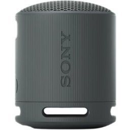 COLUNA BLUETOOTH SONY SRSXB100B PRETO