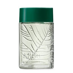 Arbo Eau de Toilette - 100ml - Arbo - oBoticário