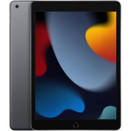 Apple iPad 10.2" 2021 (9ª Geração) 64 GB Wi Fi Recondicionado - Muito Bom - Cinzento - Desbloqueado