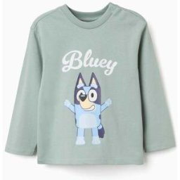 T-shirt de manga comprida de algodão Bluey para bebé e criança, verde Verde 12-18 Months