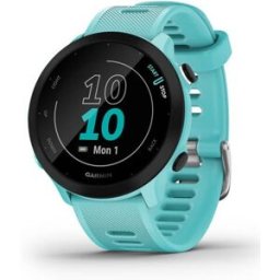 Smartwatch Forerunner 55 (Azul) - GARMIN