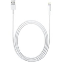 Cabo USB A Macho -> LIGHTNING (2 mts) - APPLE
