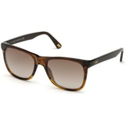 Óculos de Sol Homem WE0279-5652G - WEB EYEWEAR