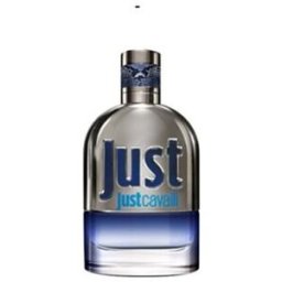 Roberto Cavalli Just Cavalli Man EDT 30 ml