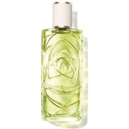 Lancôme Ôff Now Eau de Toilette 100 ml