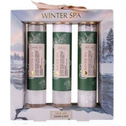 Gift Wells Coffret Winter SPA Bath Set Ginger & Mint 1 un