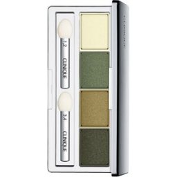 Clinique Tudo Sobre Shadow quad #05-on safari