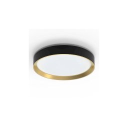 Philips - Iluminação de teto LED com regulação HANNO LED/24W/230V 4000K preto