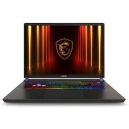 MSI Vector 17 HX AI A2XWJG-039 (grau Intel Core Ultra 9 275HX NVIDIA GeForce RTX 5090 32 GB DDR5 2 TB SSD Windows 11 Home 64-Bit)