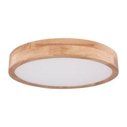 Globo 41745-24 - Iluminação de teto LED com regulação RAINER LED/24W/230V + CR