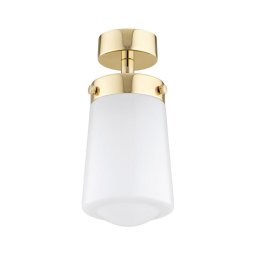 Argon 8005 - Candelabro montado à superfície PASADENA 1xE27/15W/230V dourado/branco