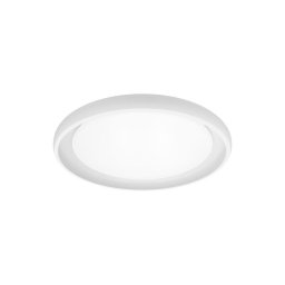 Top Light - Iluminação de teto LED com regulação SALERNO LED/60W/230V 3000-6500K branco + CR