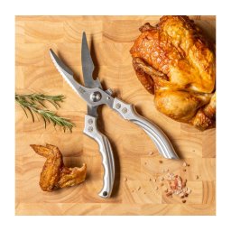 Gudaro - Tesoura para aves NOBURU 24,5 cm prateada