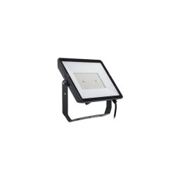 Philips - Holofote exterior LED PROJECTLINE LED/150W/230V IP65 4000K