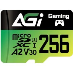 MEMÓRIA MICRO-SD AGI 256GB