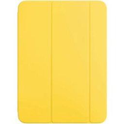 CAPA APPLE IPAD A16 AM