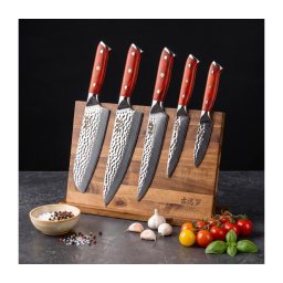 Gudaro - Conjunto de 5 facas de cozinha em aço Damasco MIYABI + suporte magnético