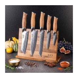 Gudaro - Conjunto de 5 facas de cozinha em aço Damasco TAKUMI + suporte magnético