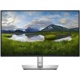 Monitor IPS LED 21,5" P Series P2225H Full HD (Preto/Prateado) - DELL