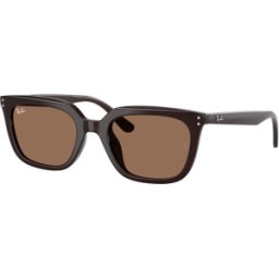 Rayban Óculos de sol Ray Ban 0RB4439D Castanho Tamanho: 54X21 Castanho