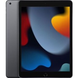 Apple IPAD 9GEN 10.2 WIFI 256 SPG GRB