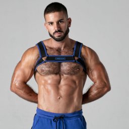 Arnês Corporal Look at Locker Gear Azul