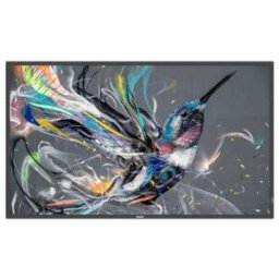 PHILIPS MONITOR PROFISSIONAL 50" UHD 4K 400CD 18/7 50BDL3511Q