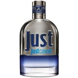 Roberto Cavalli Just Man EDT 90 ml