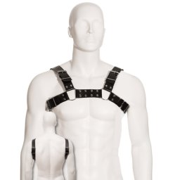 LEATHER BODY - ARNÊS PARA CES BLACK BULL