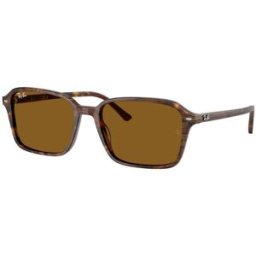 Rayban Óculos de sol Ray Ban RAIMOND 0RB2231 Castanho Tamanho: 58X18 Castanho