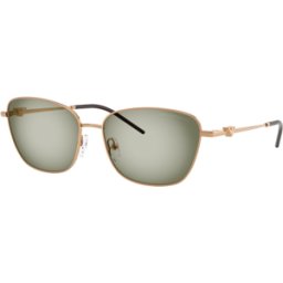 Giorgio Armani Óculos de sol Emporio Armani 0EA2170 Castanho Tamanho: 57X15 Castanho
